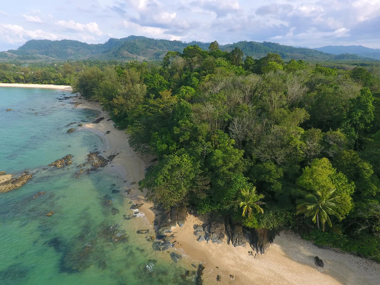 Private transfer to Tortuguero National Park, Costa Rica