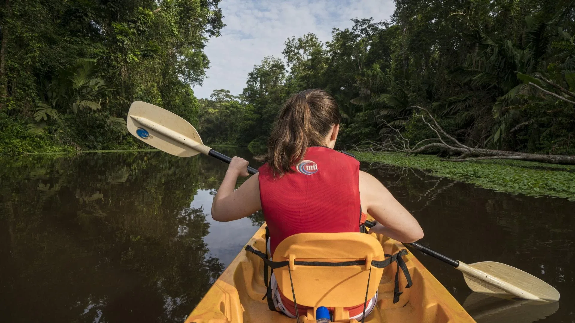 Private transfer to Tortuguero National Park, Costa Rica