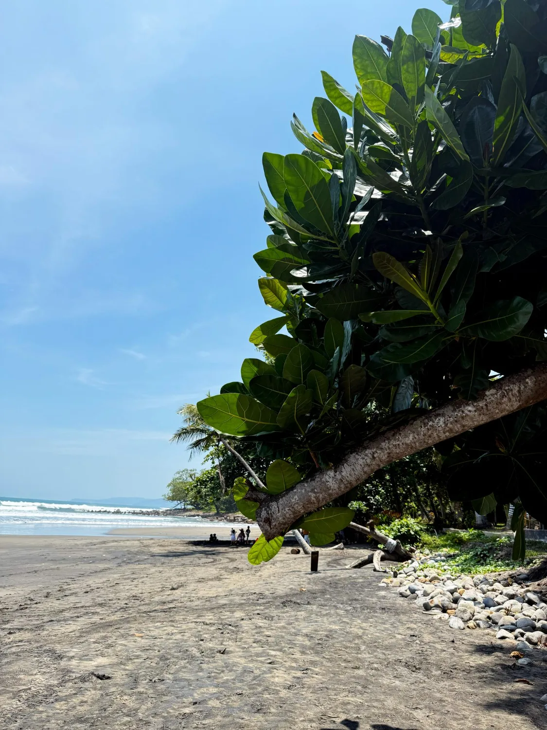 Cahuita National Park