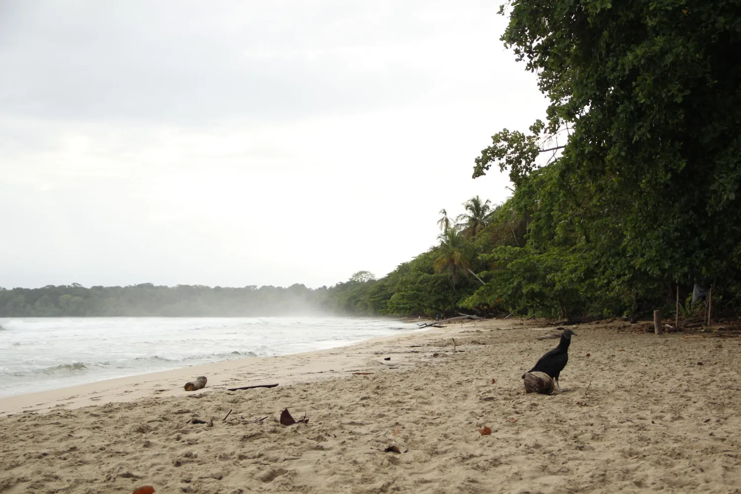 Gandoca-Manzanillo Wildlife Refuge