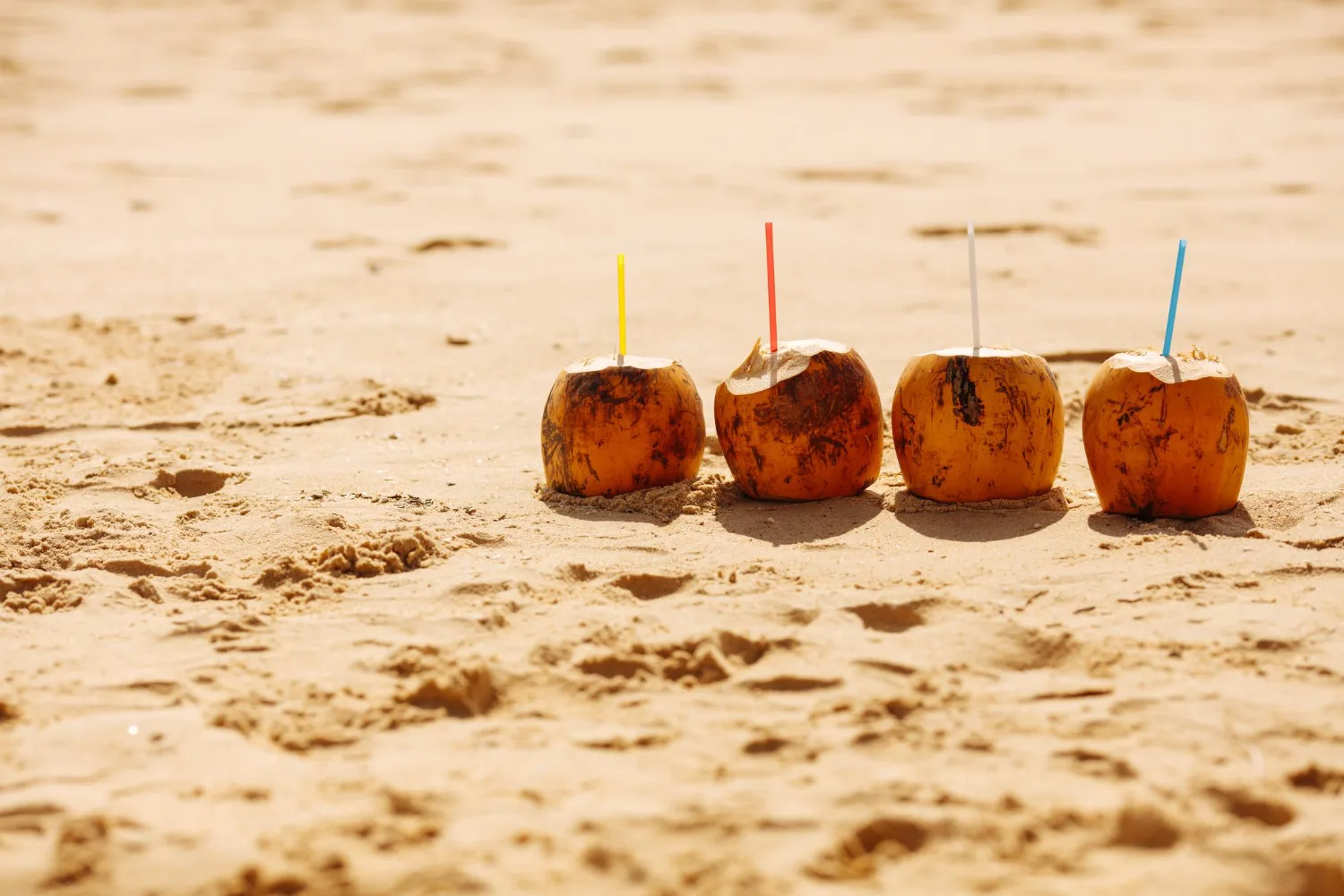 Private transfer to Tamarindo Beach, Costa Rica