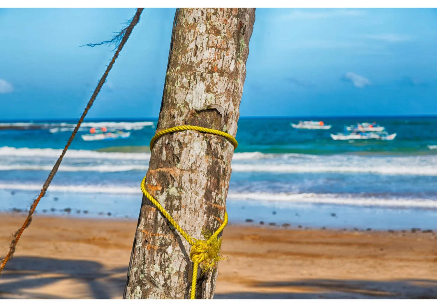 Tamarindo Estuary Mangrove Tour