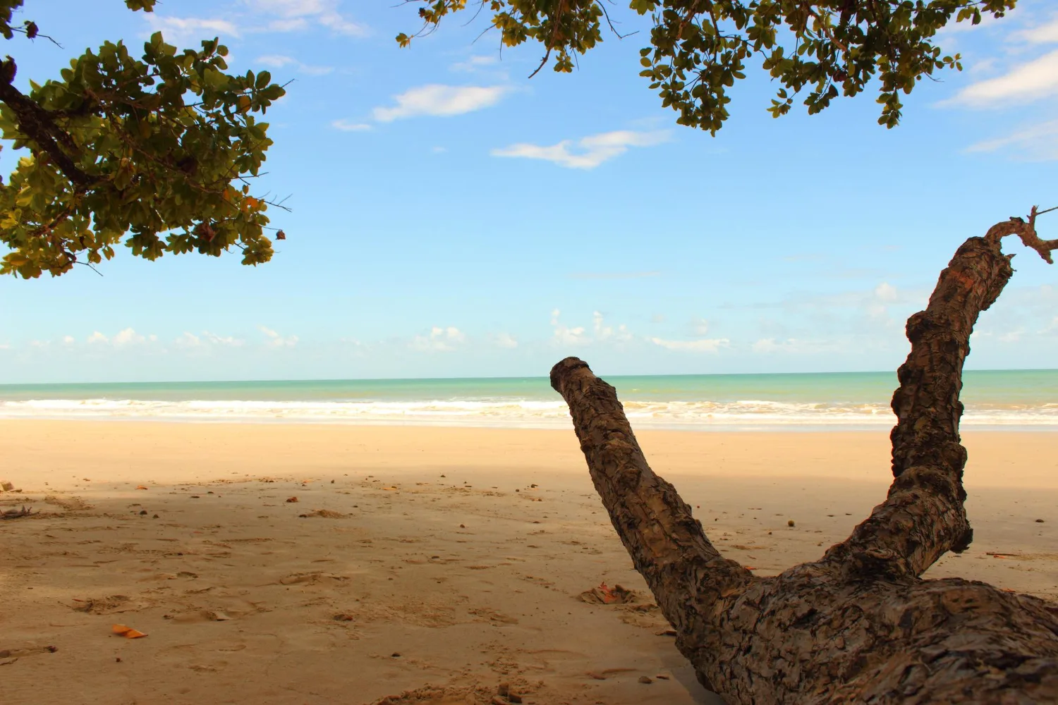 Private transfer to Santa Teresa & Mal Pais, Puntarenas, Costa Rica