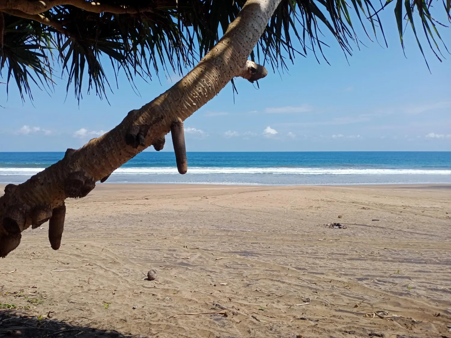 Private transfer to Santa Teresa & Mal Pais, Costa Rica