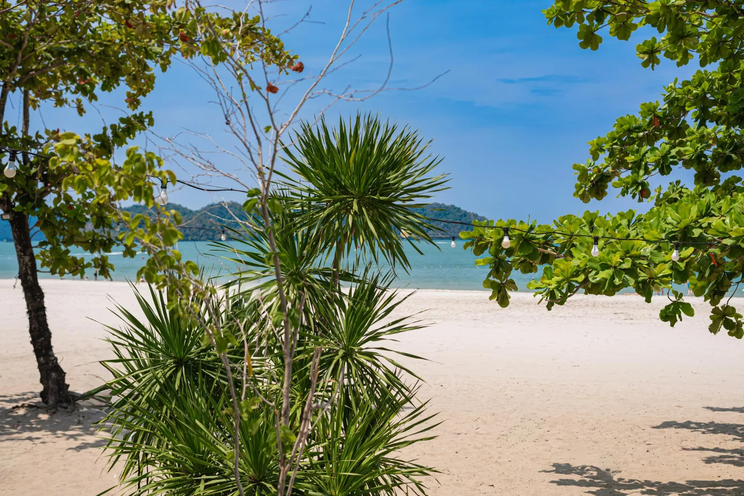 Private transfer to Santa Teresa & Mal Pais, Costa Rica