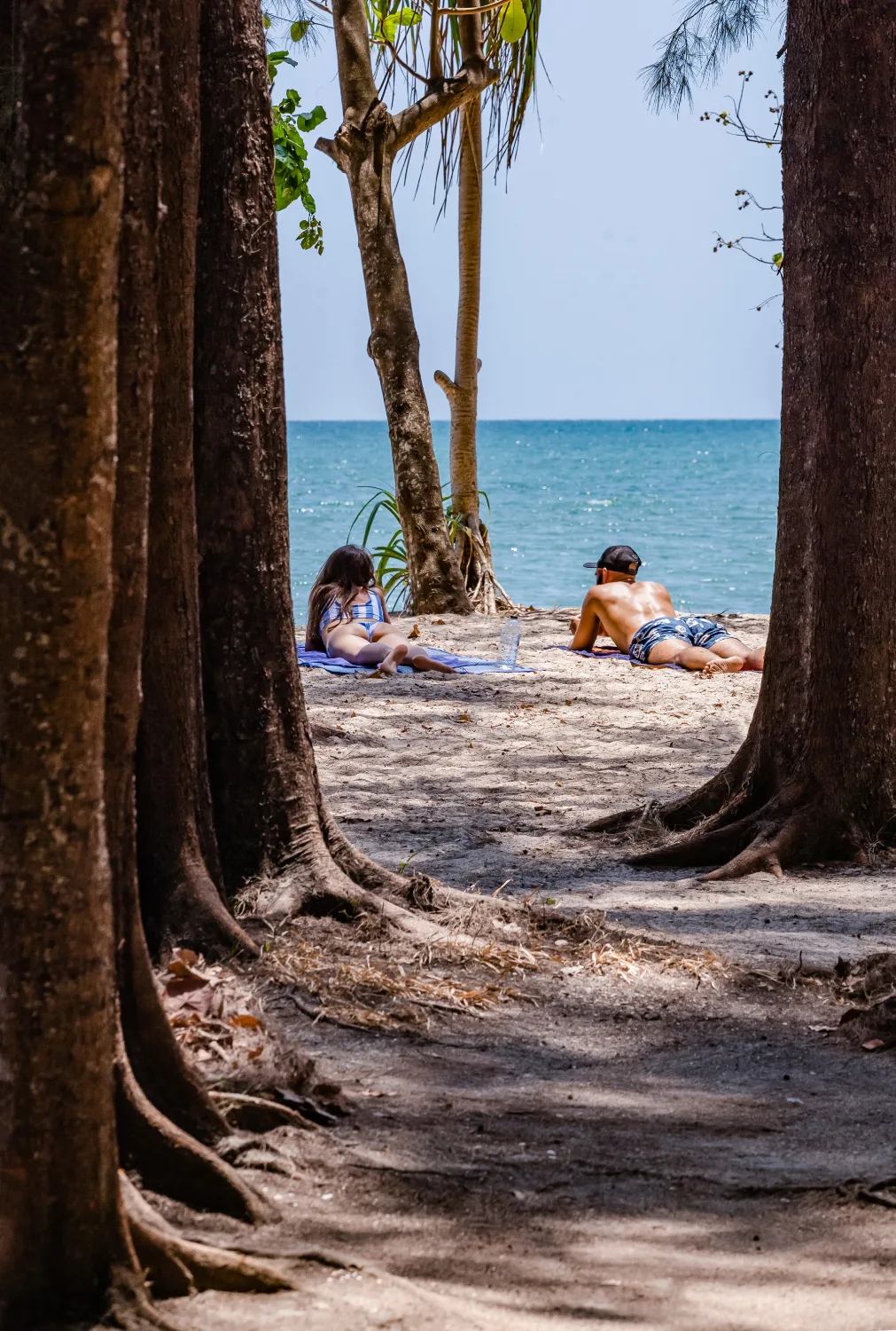 Cabo Blanco Absolute Nature Reserve