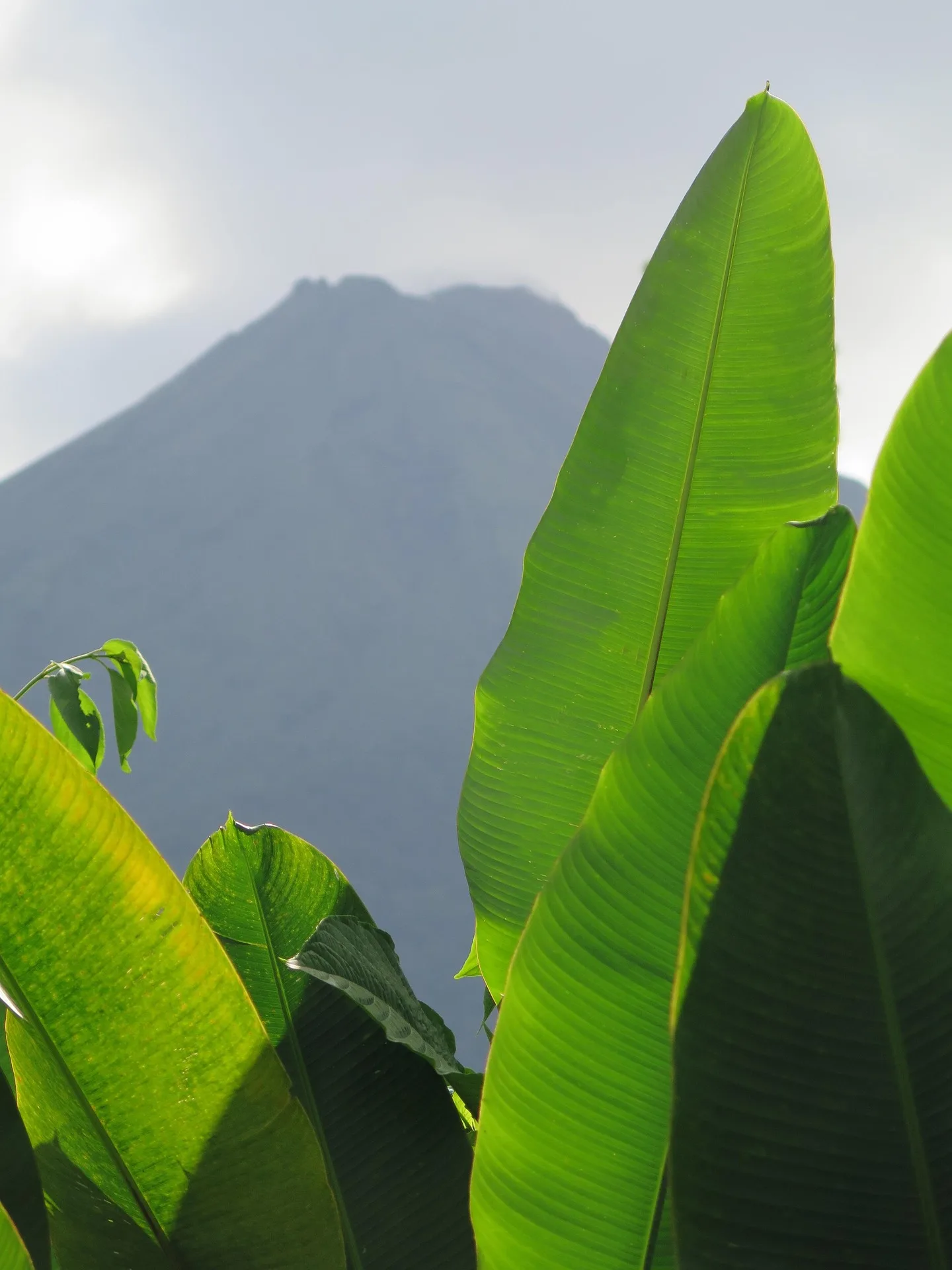 White Water Rafting on Rio Balsa